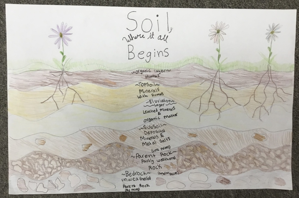 3rd Place Poster Contest Winner